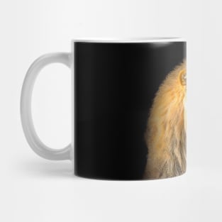 Lion Animal Wildlife Jungle Nature Safari Adventure Discovery Africa Digital Painting Mug